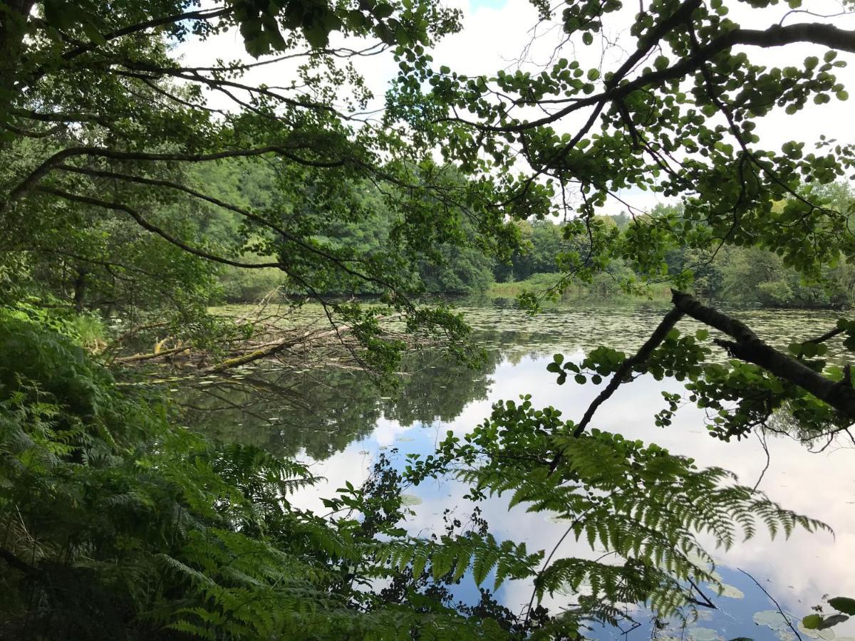 Naturapur Pleinfeld Zewnętrze zdjęcie